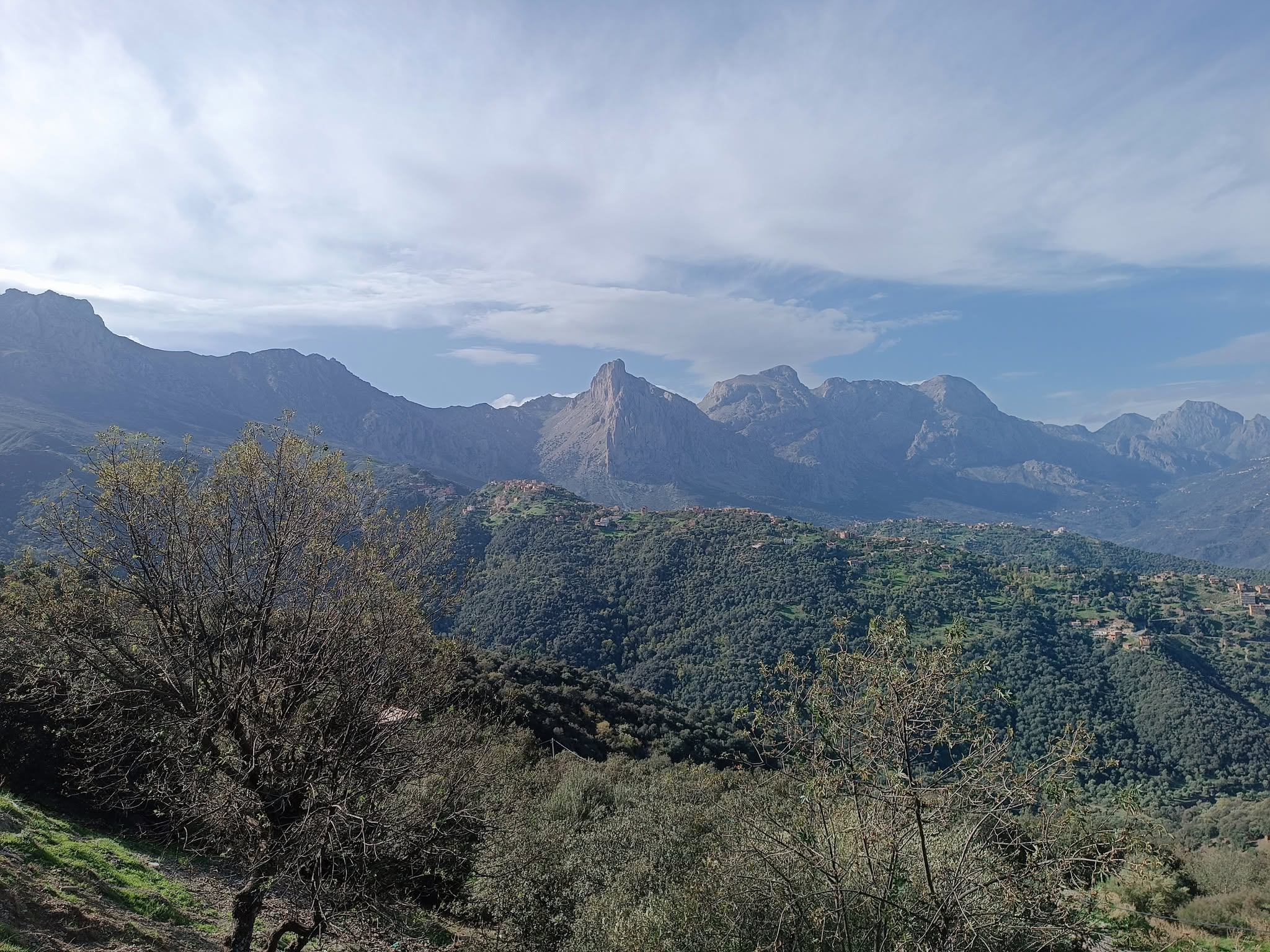 Le Constantinois